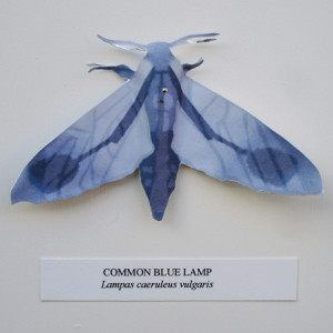 Common Blue lamp